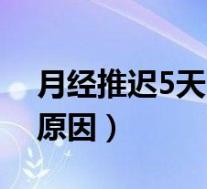 月经推迟5天的原因和危害（月经推迟5天的原因）