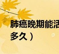 肺癌晚期能活多久90岁老人(肺癌晚期能活多久)