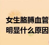 女生胳膊血管明显是因为瘦嘛（女生手臂血管明显什么原因）