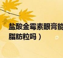 盐酸金霉素眼膏能去脂肪粒吗?（盐酸金霉素眼膏可以去除脂肪粒吗）