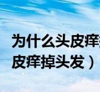 为什么头皮痒掉头发很厉害怎么办（为什么头皮痒掉头发）