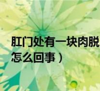 肛门处有一块肉脱出来不可自行收回（肛门有一小块肉脱出怎么回事）