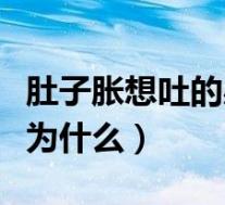 肚子胀想吐的感觉是什么病（肚子胀、想吐是为什么）