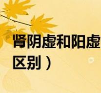 肾阴虚和阳虚的区别和调理（肾阴虚和阳虚的区别）