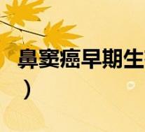 鼻窦癌早期生存率(鼻窦癌早期能活多长时间)