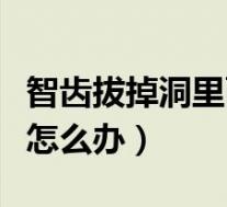智齿拔掉洞里面很臭(智齿拔了牙洞又臭又苦怎么办)