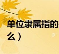 苹果手机免费梯子-苹果手机免费梯子教程