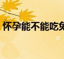 怀孕能不能吃兔子肉(孕妇可以吃兔子肉吗)