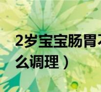 2岁宝宝肠胃不好怎么调理（宝宝肠胃不好怎么调理）
