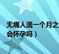 无痛人流一个月之内同房会怀孕吗(无痛人流一个月内同房会怀孕吗)