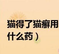 猫得了猫癣用什么药效果最好(人得了猫癣用什么药)