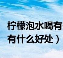 柠檬泡水喝有什么作用与功效(天天喝柠檬水有什么好处)