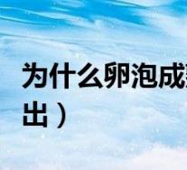 为什么卵泡成熟了不破(为什么卵泡成熟不排出)