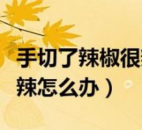 手切了辣椒很辣怎么办小妙招(手切了辣椒很辣怎么办)