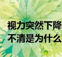 视力突然下降模糊不清(视力突然下降、模糊不清是为什么)