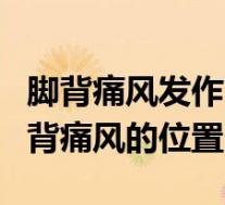 脚背痛风发作了怎么样才能快速缓解下去（脚背痛风的位置）