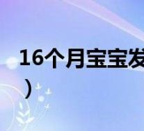 16个月宝宝发育标准表（1周岁宝宝发育标准）