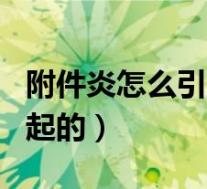 附件炎怎么引起的有哪些症状（附件炎怎么引起的）