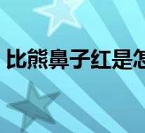 比熊鼻子红是怎么回事(鼻子红是怎么回事)