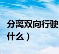 分离双向行驶路段图片(分离双向交通标志是什么)