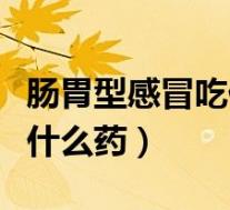 肠胃型感冒吃什么药效果最好（肠胃型感冒吃什么药）