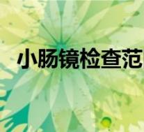 小肠镜检查范围(小肠镜检查项目是什么)