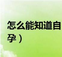 怎么能知道自己怀没怀孕（怎样能知道自己怀孕）