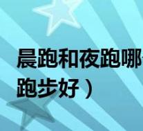 晨跑和夜跑哪个更健康(晚上跑步好还是早上跑步好)