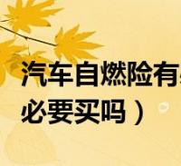 win币可以投资吗、win币未来价值多少钱