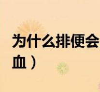 为什么排便会出血怎么回事（为什么排便会出血）