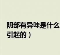 阴部有异味是什么病引起的怎么治疗（阴部有异味是什么病引起的）