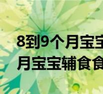 8到9个月宝宝辅食食谱可以吃咸吗（8到9个月宝宝辅食食谱）