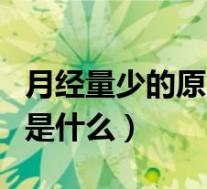 月经量少的原因是什么症状（月经量少的原因是什么）