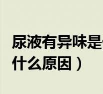 尿液有异味是什么原因怎么办(尿液有异味是什么原因)