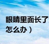 眼睛里面长了黄斑什么情况（眼睛里面长黄斑怎么办）