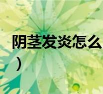 阴茎发炎怎么自己治疗(阴茎发炎肿了怎么办)