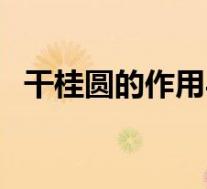 干桂圆的作用与功能主治(干桂圆的作用)