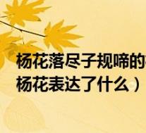 杨花落尽子规啼的杨花表达了什么情感(杨花落尽子规啼的杨花表达了什么)