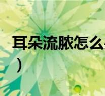 耳朵流脓怎么办用什么药好（耳朵流脓怎么办）