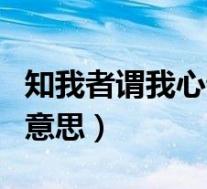 知我者谓我心忧全诗译文(知我者谓我心忧的意思)