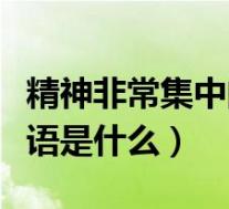 精神非常集中的词语是什么(精神非常集中成语是什么)