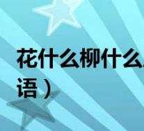 花什么柳什么成语填颜色(花什么柳什么的成语)