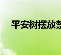 平安树摆放禁忌图片(平安树摆放禁忌)