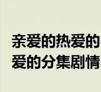 亲爱的热爱的电视剧分集剧情简介(亲爱的热爱的分集剧情)