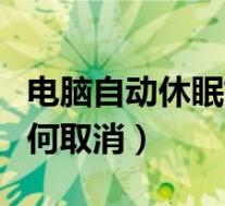 电脑自动休眠如何取消设置(电脑自动休眠如何取消)