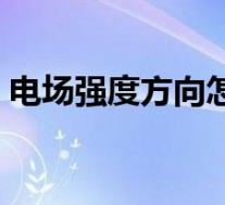 电场强度方向怎么判断图解(电场强度方向)