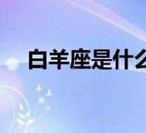 白羊座是什么性格(金牛座是什么性格)