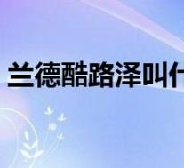 兰德酷路泽叫什么(兰德酷路泽是什么汽车)
