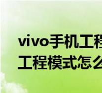 vivo手机工程模式怎么永久退出(vivo手机工程模式怎么退出)