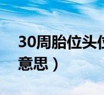 30周胎位头位是什么意思(胎位头位是什么意思)